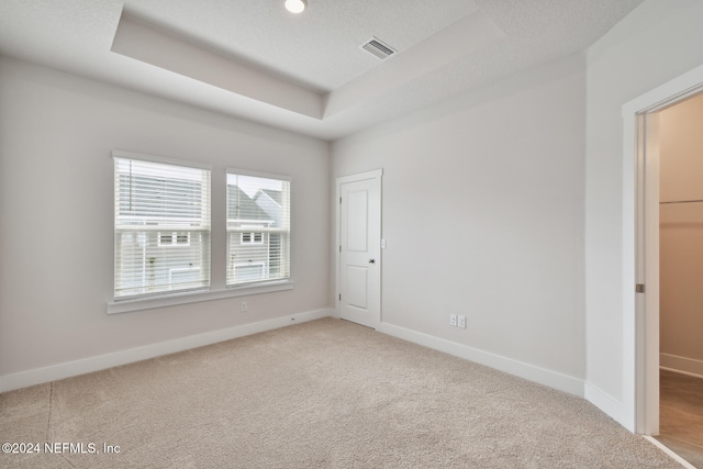 spare room featuring a raised ceiling, light colored carpet, and a textured ceiling