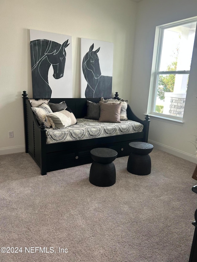 living area with carpet flooring