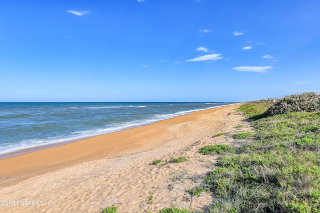 water view featuring a beach view