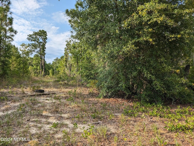 0000-3201 Mccall St, Hawthorne FL, 32640 land for sale