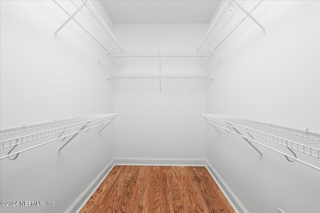 spacious closet featuring hardwood / wood-style flooring