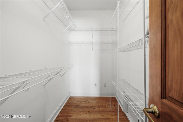 walk in closet featuring hardwood / wood-style flooring