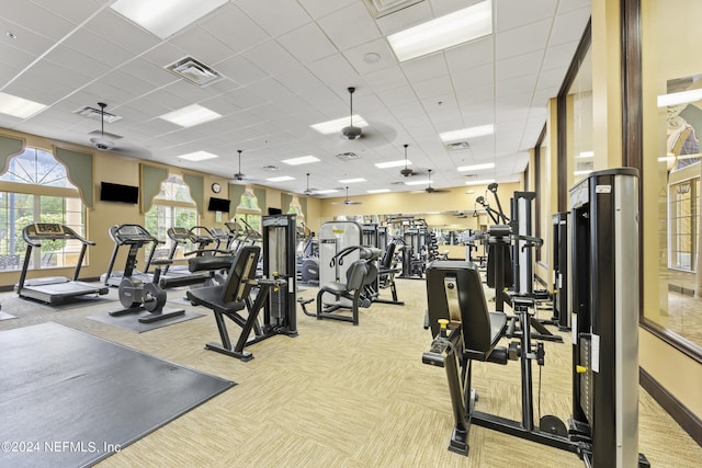 workout area featuring a drop ceiling and light colored carpet