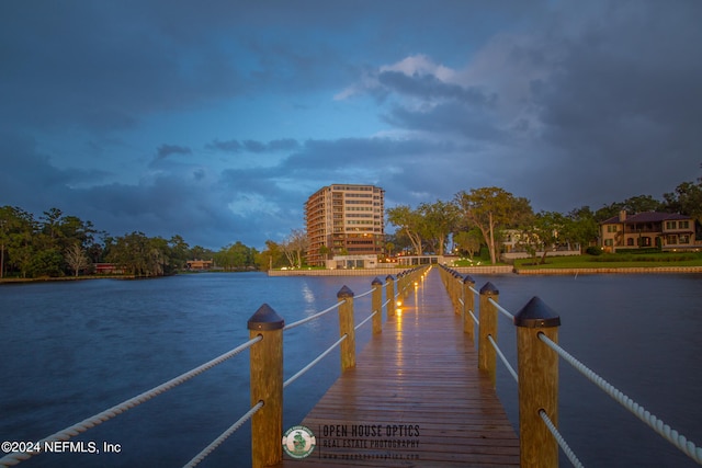 dock area with a water view