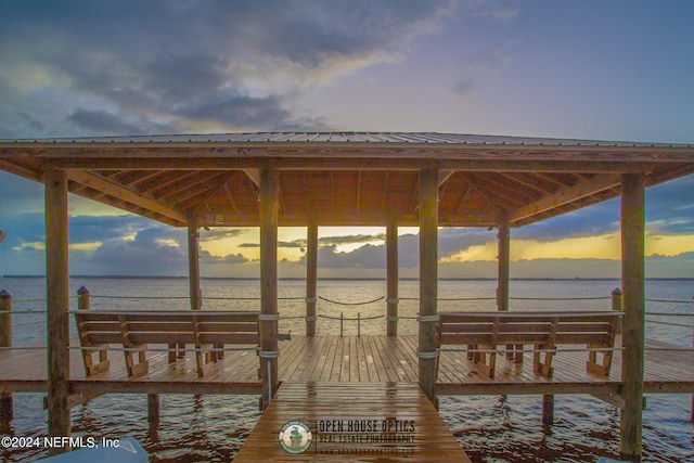 dock area with a water view