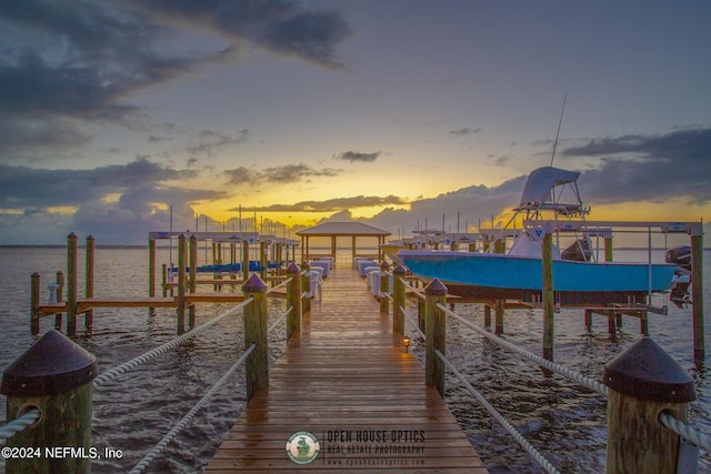 dock area with a water view