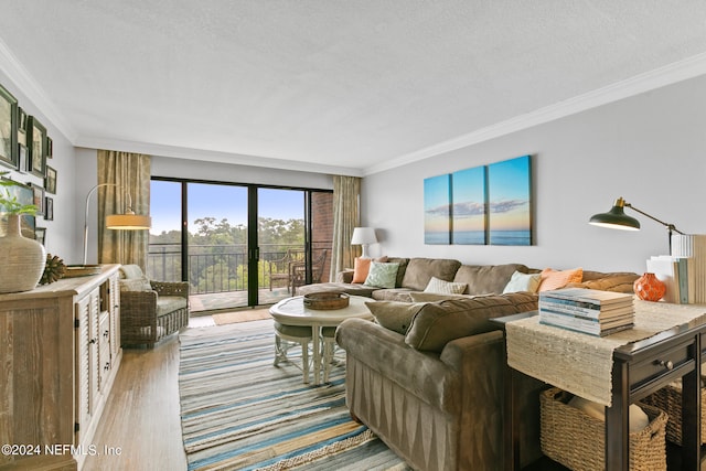 living room featuring ornamental molding, hardwood / wood-style flooring, and a textured ceiling