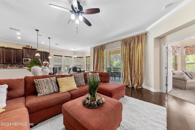 living room featuring a textured ceiling, a healthy amount of sunlight, crown molding, and hardwood / wood-style flooring