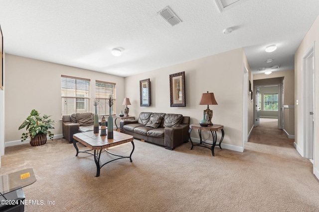 carpeted living room with a textured ceiling