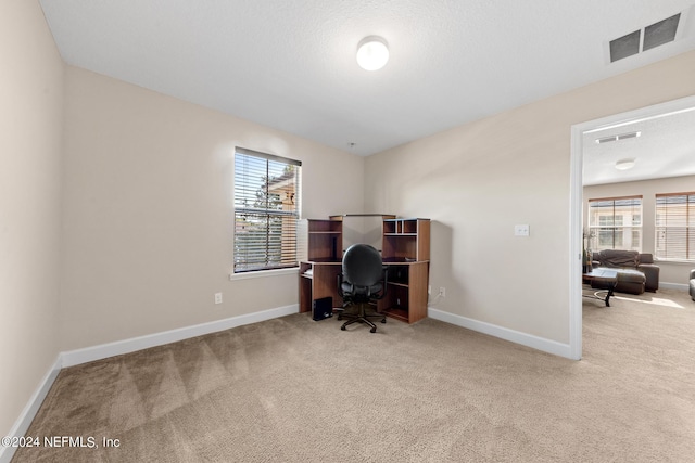 office space with a healthy amount of sunlight and light carpet