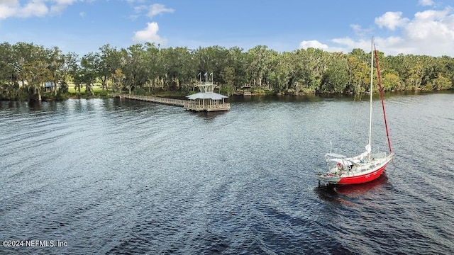 property view of water featuring a boat dock