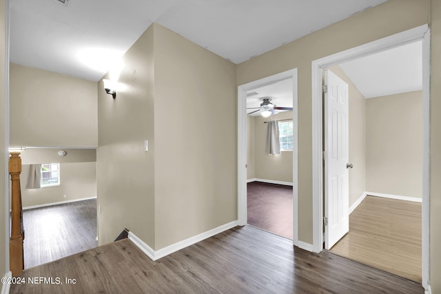 hallway featuring plenty of natural light and hardwood / wood-style flooring