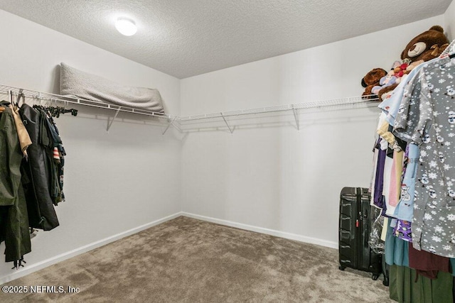 spacious closet with carpet floors