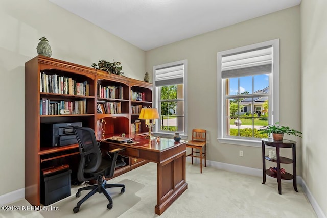 carpeted office featuring a wealth of natural light