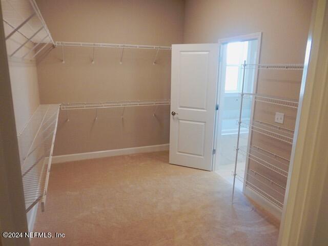 spacious closet featuring light colored carpet