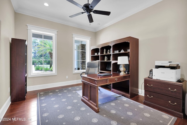 office with crown molding, ceiling fan, and dark hardwood / wood-style flooring