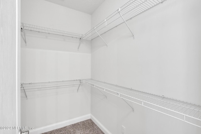 spacious closet with carpet flooring