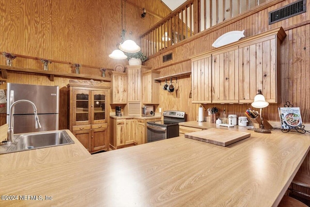 kitchen with stainless steel appliances, hanging light fixtures, wooden walls, and sink