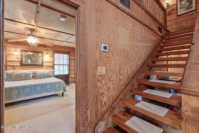 staircase featuring ceiling fan, carpet floors, and wood walls