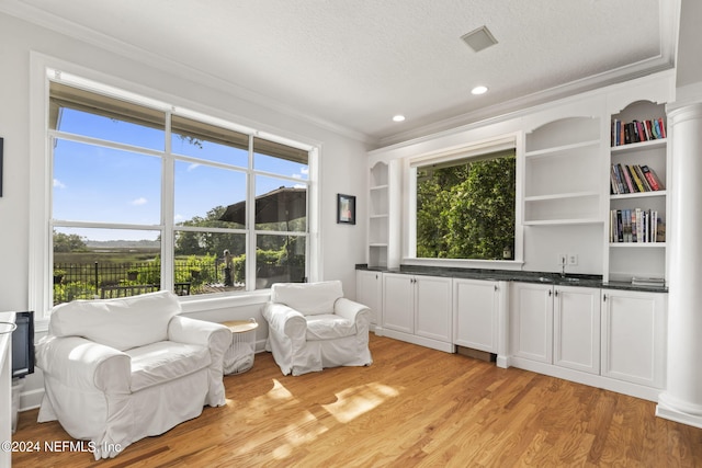 sitting room with crown molding, sink, light hardwood / wood-style flooring, and a textured ceiling