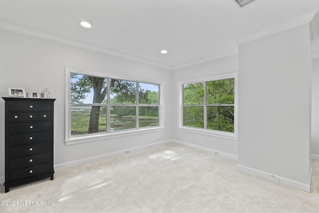 unfurnished room with light carpet and ornamental molding