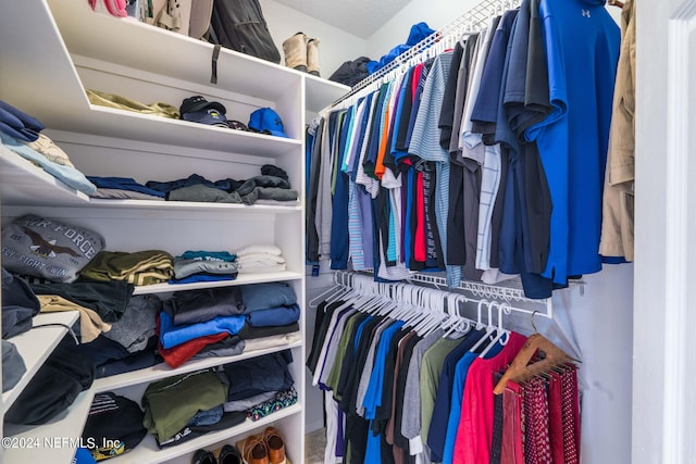 view of walk in closet