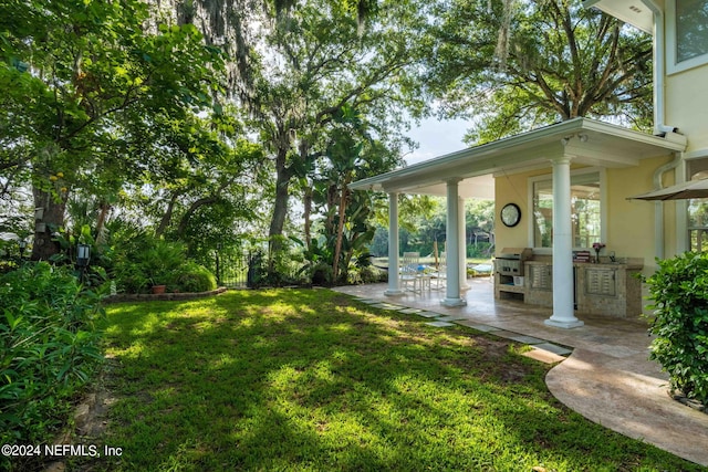 view of yard with a patio