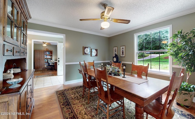 dining area featuring light hardwood / wood-style floors, crown molding, and ceiling fan