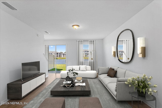 living room with a textured ceiling and wood-type flooring