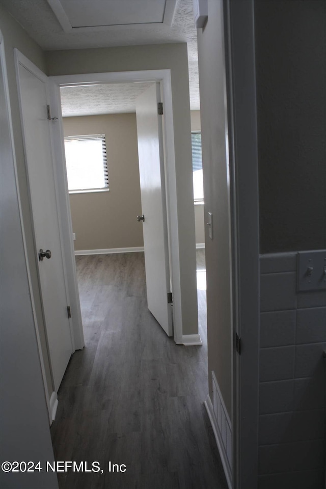 hallway featuring dark wood-type flooring