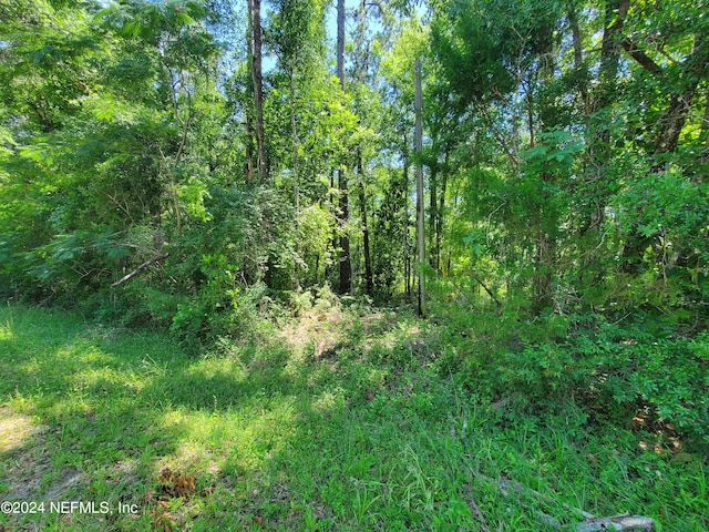 Listing photo 2 for 0 Scenic Dr, Middleburg FL 32068