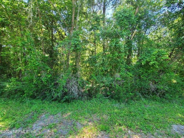 0 Scenic Dr, Middleburg, FL 32068 - photo 5