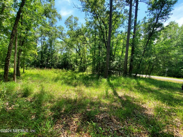 0 Scenic Dr, Middleburg, FL 32068 - photo 7
