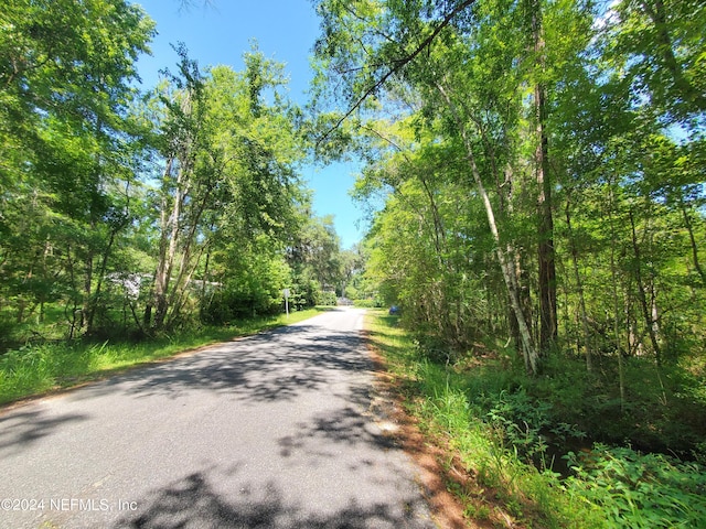 0 Scenic Dr, Middleburg, FL 32068 - photo 9