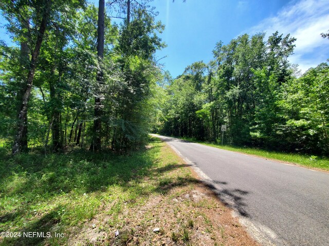 0 Scenic Dr, Middleburg, FL 32068 - photo 10