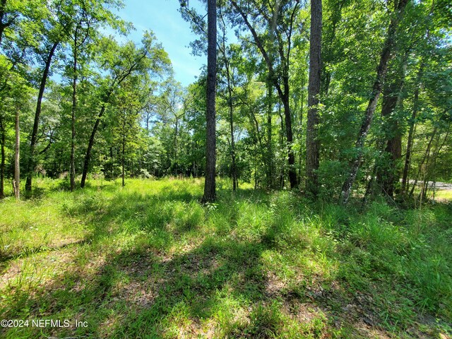 0 Scenic Dr, Middleburg, FL 32068 - photo 12