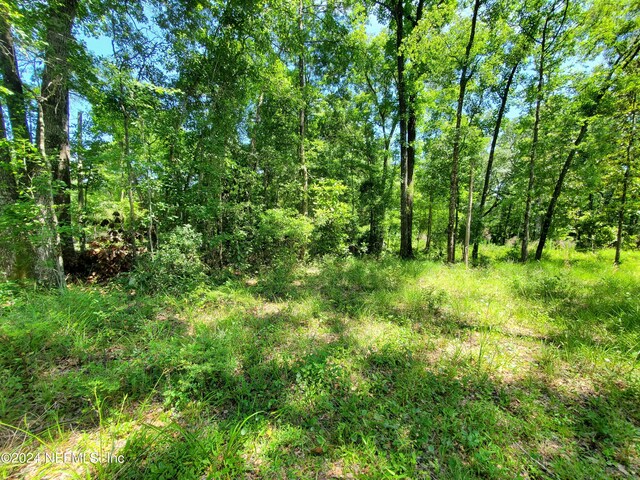 0 Scenic Dr, Middleburg, FL 32068 - photo 13