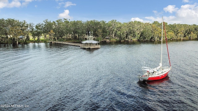 water view featuring a dock