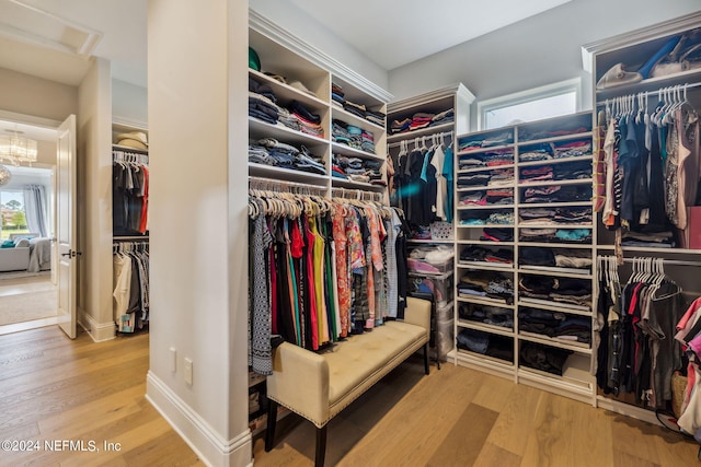 5275 Bentpine Cove Rd, Jacksonville, FL 32224 - spacious closet featuring wood finished floors and attic access