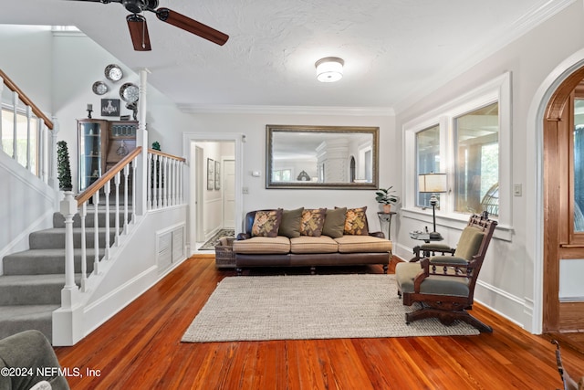 living room with plenty of natural light, ceiling fan, dark hardwood / wood-style flooring, and crown molding