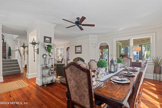 dining area featuring a wealth of natural light, ceiling fan, and hardwood / wood-style flooring