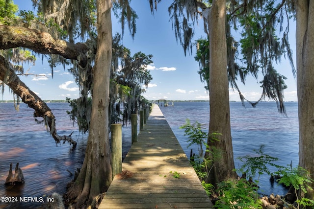 dock area with a water view