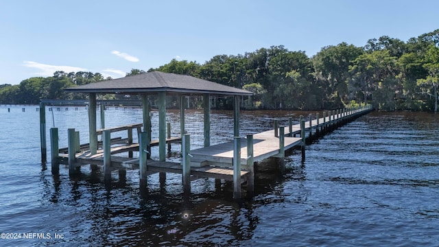 dock area with a water view