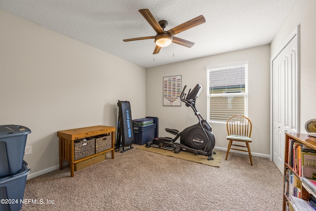 workout area featuring ceiling fan, a textured ceiling, and carpet flooring