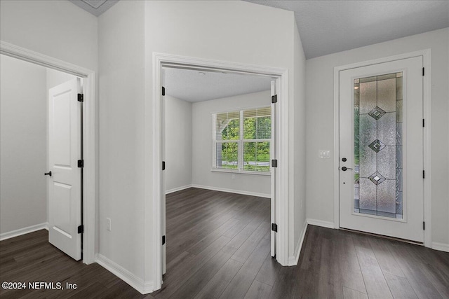 foyer entrance featuring dark wood-type flooring