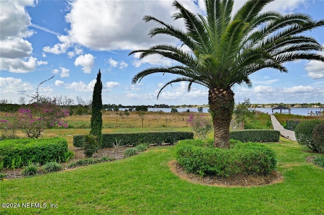 view of yard with a water view