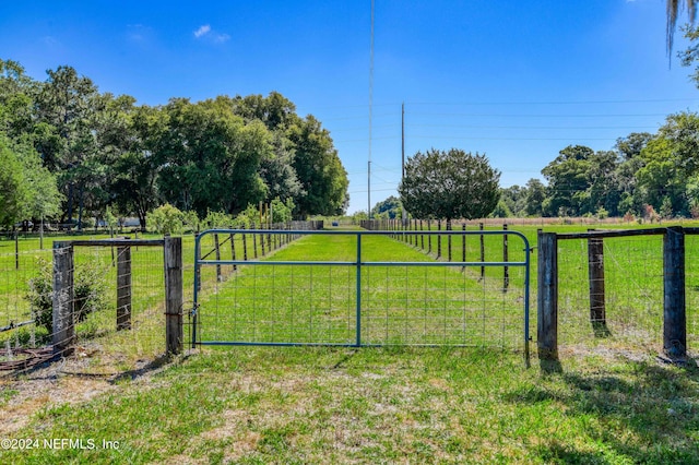 2490 Cade Fernery Rd, Seville, FL 32190 - photo 65
