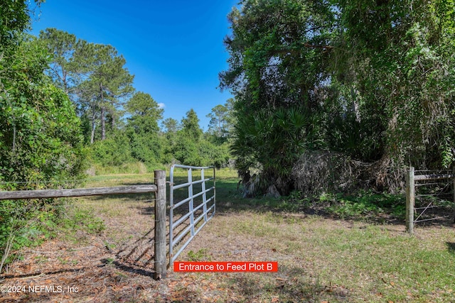 2490 Cade Fernery Rd, Seville, FL 32190 - photo 61
