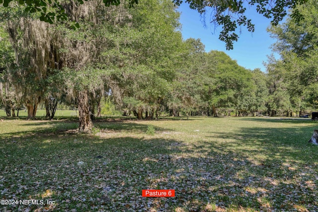 2490 Cade Fernery Rd, Seville, FL 32190 - photo 59