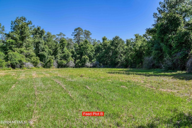 2490 Cade Fernery Rd, Seville, FL 32190 - photo 62